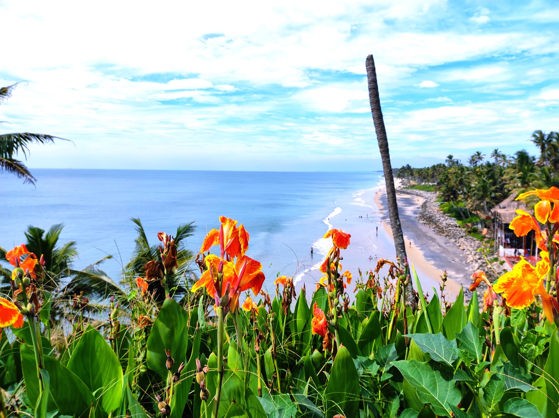 Wide view of Varkala Beach